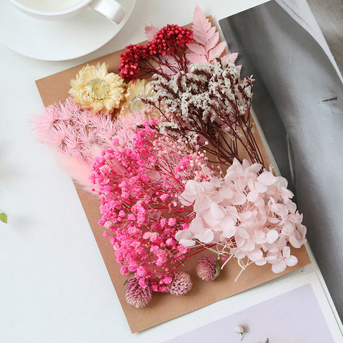 Wholesale Hot Sale Cross-border ETERNAL Dried Flower DIY Handmade Wedding Christmas Mother's Day Square Decoration Burnt Orange