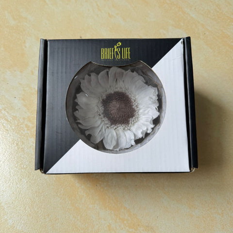 Eternal Sunflower Eternal Flower Sunflower Flower Head Material Keep Flower Sunflower Flower Head Spot Wholesale