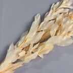 Orange leaf eternal flower ins wind home decoration DIY bouquet with materials Yunnan wholesale orange leaf orange leaf dried flower bouquet