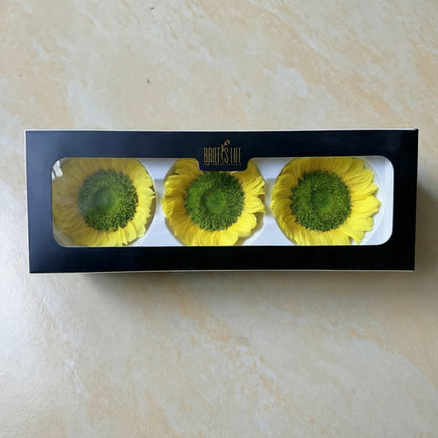 Eternal Sunflower Eternal Flower Sunflower Flower Head Material Keep Flower Sunflower Flower Head Spot Wholesale