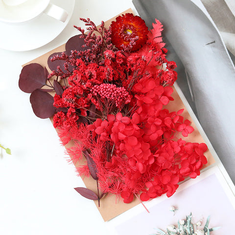 Wholesale Hot Sale Cross-border ETERNAL Dried Flower DIY Handmade Wedding Christmas Mother's Day Square Decoration Burnt Orange
