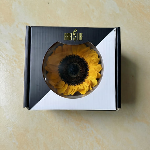 Eternal Sunflower Eternal Flower Sunflower Flower Head Material Keep Flower Sunflower Flower Head Spot Wholesale