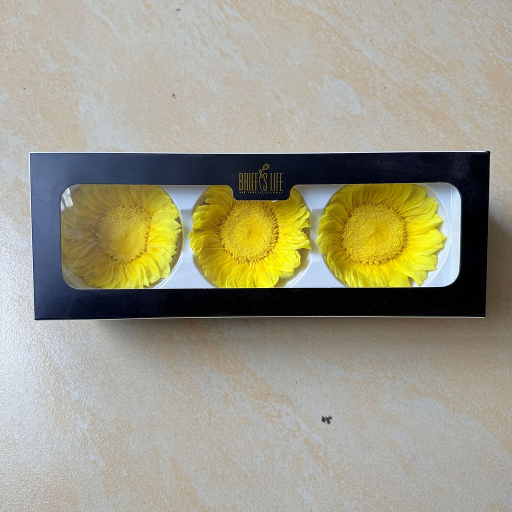 Eternal Sunflower Eternal Flower Sunflower Flower Head Material Keep Flower Sunflower Flower Head Spot Wholesale