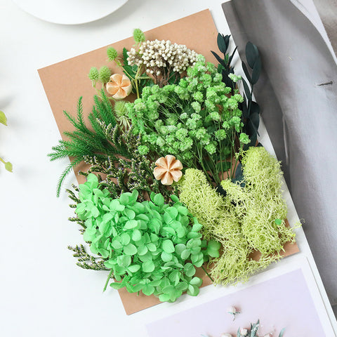 Wholesale Hot Sale Cross-border ETERNAL Dried Flower DIY Handmade Wedding Christmas Mother's Day Square Decoration Burnt Orange