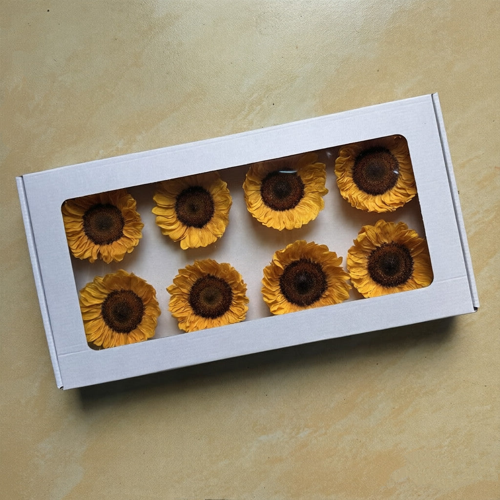Eternal Sunflower Eternal Flower Sunflower Flower Head Material Keep Flower Sunflower Flower Head Spot Wholesale