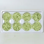 Eternal Flower 4-5cm A Grade Carnation Flower Head DIY Material 8 Packs Yunnan Wholesale Eternal Carnation Flower Head