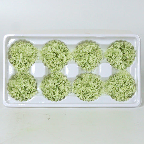 Eternal Flower 4-5cm A Grade Carnation Flower Head DIY Material 8 Packs Yunnan Wholesale Eternal Carnation Flower Head