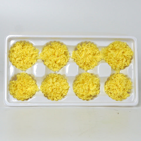Eternal Flower 4-5cm A Grade Carnation Flower Head DIY Material 8 Packs Yunnan Wholesale Eternal Carnation Flower Head