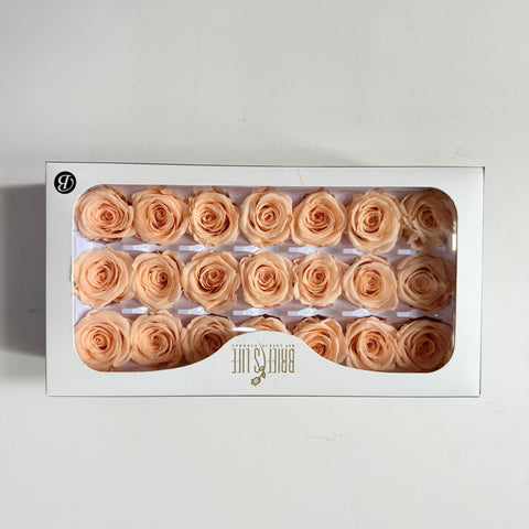Flower directly from the manufacturer Yunnan Baohua rose head newcomers must buy eternal flower rose B grade 2-3cm flower head