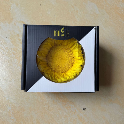 Eternal Sunflower Eternal Flower Sunflower Flower Head Material Keep Flower Sunflower Flower Head Spot Wholesale