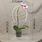PVC Transparent Square Trapezoid Handle Packaging Bag Waterproof Plastic Storage for Festival Gifts Shrink Bag