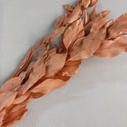 Orange leaf eternal flower ins wind home decoration DIY bouquet with materials Yunnan wholesale orange leaf orange leaf dried flower bouquet