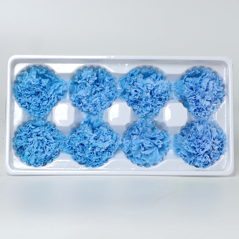 Eternal Flower 4-5cm A Grade Carnation Flower Head DIY Material 8 Packs Yunnan Wholesale Eternal Carnation Flower Head