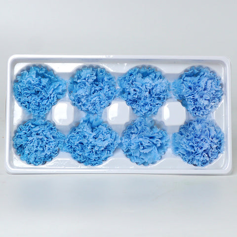 Eternal Flower 4-5cm A Grade Carnation Flower Head DIY Material 8 Packs Yunnan Wholesale Eternal Carnation Flower Head