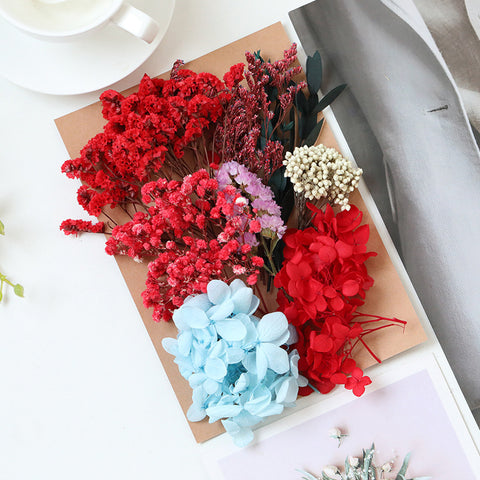 Wholesale Hot Sale Cross-border ETERNAL Dried Flower DIY Handmade Wedding Christmas Mother's Day Square Decoration Burnt Orange