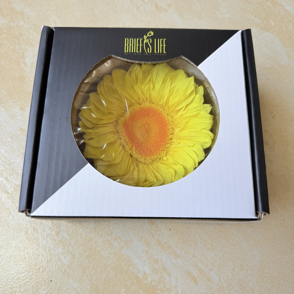 Eternal Sunflower Eternal Flower Sunflower Flower Head Material Keep Flower Sunflower Flower Head Spot Wholesale