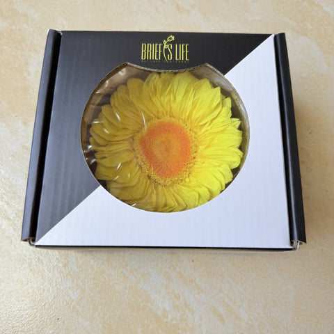 Eternal Sunflower Eternal Flower Sunflower Flower Head Material Keep Flower Sunflower Flower Head Spot Wholesale