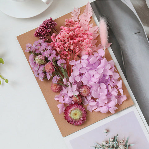 Wholesale Hot Sale Cross-border ETERNAL Dried Flower DIY Handmade Wedding Christmas Mother's Day Square Decoration Burnt Orange