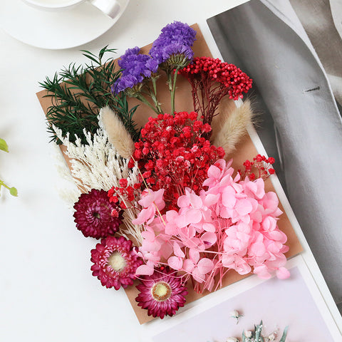 Wholesale Hot Sale Cross-border ETERNAL Dried Flower DIY Handmade Wedding Christmas Mother's Day Square Decoration Burnt Orange