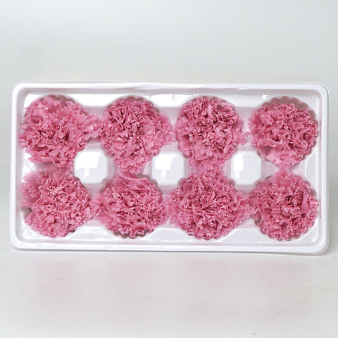 Eternal Flower 4-5cm A Grade Carnation Flower Head DIY Material 8 Packs Yunnan Wholesale Eternal Carnation Flower Head