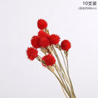 Thousand days red strawberry dried flower eternal flower bouquet packaging accessories home flower arrangement decoration flower shop package flower material