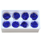 Eternal Flower 4-5cm A Grade Carnation Flower Head DIY Material 8 Packs Yunnan Wholesale Eternal Carnation Flower Head