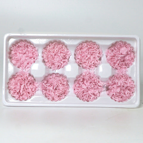 Eternal Flower 4-5cm A Grade Carnation Flower Head DIY Material 8 Packs Yunnan Wholesale Eternal Carnation Flower Head