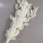 Orange leaf eternal flower ins wind home decoration DIY bouquet with materials Yunnan wholesale orange leaf orange leaf dried flower bouquet