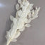 Orange leaf eternal flower ins wind home decoration DIY bouquet with materials Yunnan wholesale orange leaf orange leaf dried flower bouquet
