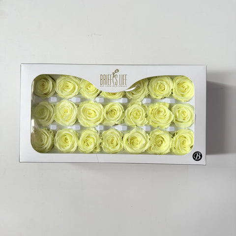 Flower directly from the manufacturer Yunnan Baohua rose head newcomers must buy eternal flower rose B grade 2-3cm flower head