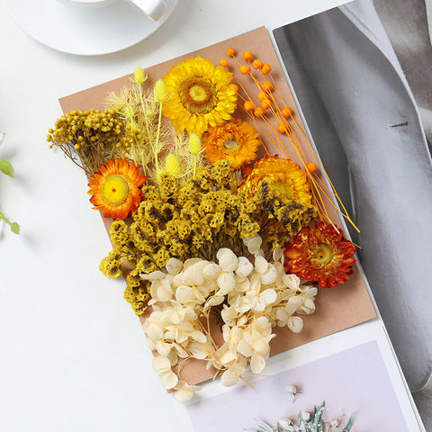 Wholesale Hot Sale Cross-border ETERNAL Dried Flower DIY Handmade Wedding Christmas Mother's Day Square Decoration Burnt Orange