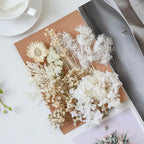 Wholesale Hot Sale Cross-border ETERNAL Dried Flower DIY Handmade Wedding Christmas Mother's Day Square Decoration Burnt Orange