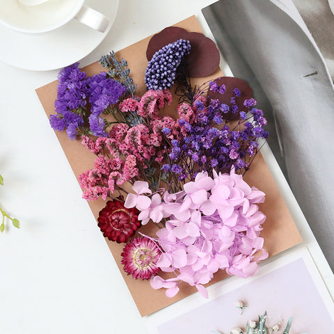 Wholesale Hot Sale Cross-border ETERNAL Dried Flower DIY Handmade Wedding Christmas Mother's Day Square Decoration Burnt Orange