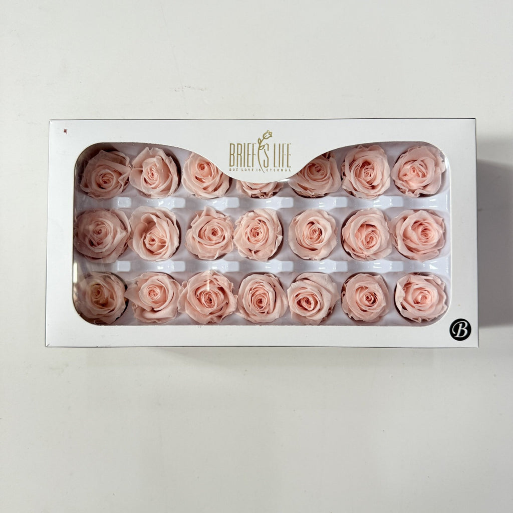 Flower directly from the manufacturer Yunnan Baohua rose head newcomers must buy eternal flower rose B grade 2-3cm flower head