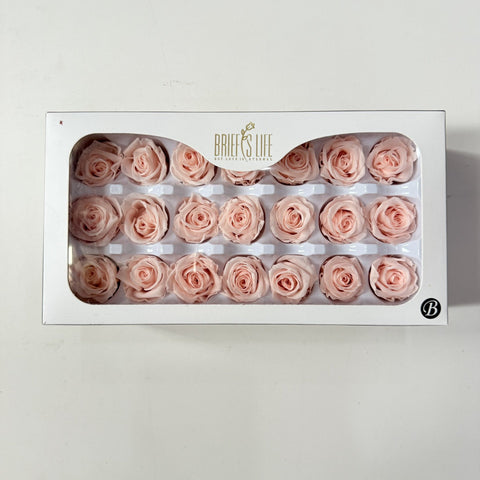 Flower directly from the manufacturer Yunnan Baohua rose head newcomers must buy eternal flower rose B grade 2-3cm flower head