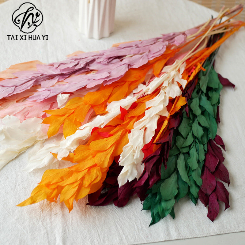 Orange leaf eternal flower ins wind home decoration DIY bouquet with materials Yunnan wholesale orange leaf orange leaf dried flower bouquet