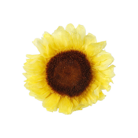Eternal Sunflower Eternal Flower Sunflower Flower Head Material Keep Flower Sunflower Flower Head Spot Wholesale