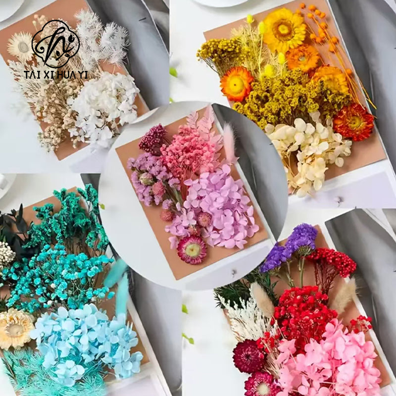 Wholesale Hot Sale Cross-border ETERNAL Dried Flower DIY Handmade Wedding Christmas Mother's Day Square Decoration Burnt Orange