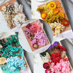 Wholesale Hot Sale Cross-border ETERNAL Dried Flower DIY Handmade Wedding Christmas Mother's Day Square Decoration Burnt Orange