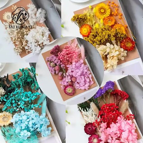 Wholesale Hot Sale Cross-border ETERNAL Dried Flower DIY Handmade Wedding Christmas Mother's Day Square Decoration Burnt Orange