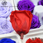 Flower directly from the manufacturer Yunnan Baohua rose head newcomers must buy eternal flower rose B grade 2-3cm flower head