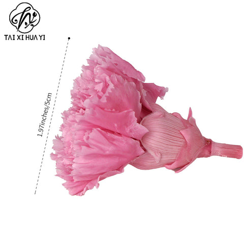 Eternal Flower 4-5cm A Grade Carnation Flower Head DIY Material 8 Packs Yunnan Wholesale Eternal Carnation Flower Head