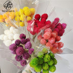 Thousand days red strawberry dried flower eternal flower bouquet packaging accessories home flower arrangement decoration flower shop package flower material