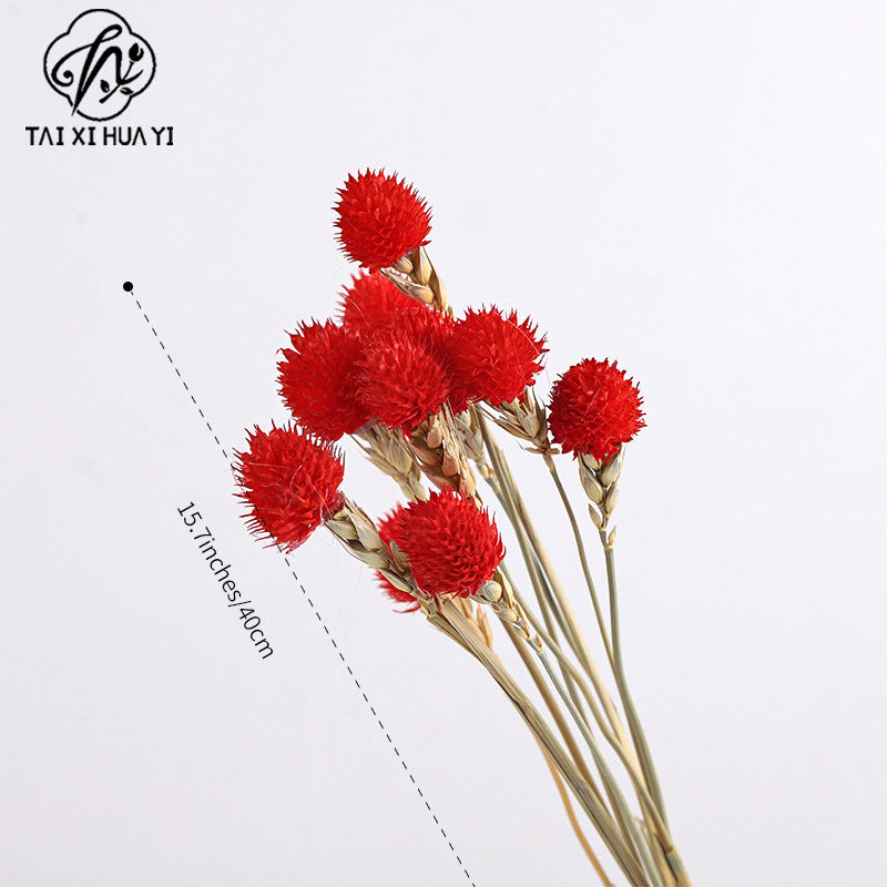 Thousand days red strawberry dried flower eternal flower bouquet packaging accessories home flower arrangement decoration flower shop package flower material