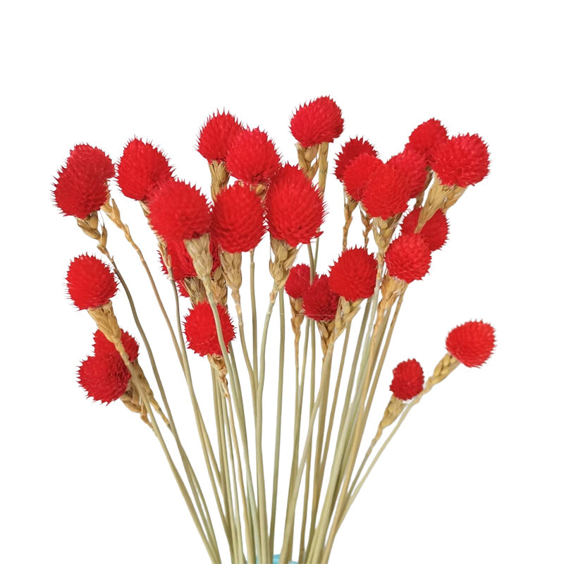 Thousand days red strawberry dried flower eternal flower bouquet packaging accessories home flower arrangement decoration flower shop package flower material