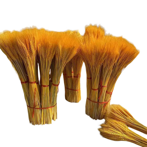 Dried barley flowers opened, wheat ears, bouquets, gifts, living room pastoral decoration, flower arrangement props, golden dried flowers