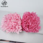 Eternal Flower 4-5cm A Grade Carnation Flower Head DIY Material 8 Packs Yunnan Wholesale Eternal Carnation Flower Head